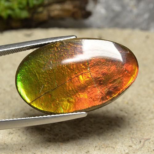 20.87ct Naturel Multicolore Ammolite, Fantaisie, Opaque