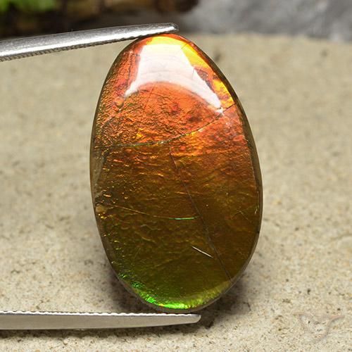 Ammolite Multicolore naturelle Fantaisie, 20.87 ct, Opaque