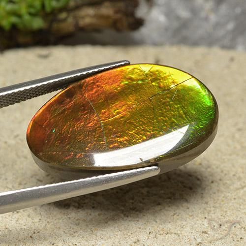 Ammolite Multicolore naturelle Fantaisie, 20.87 ct, Opaque