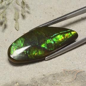 Ammolite Multicolore naturelle Fantaisie, 19.53 ct, Opaque