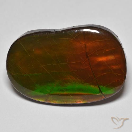 Ammolite Multicolore naturelle Fantaisie, 22.58 ct, Opaque
