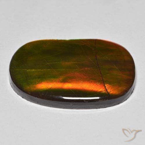 Ammolite Multicolore naturelle Fantaisie, 22.58 ct, Opaque