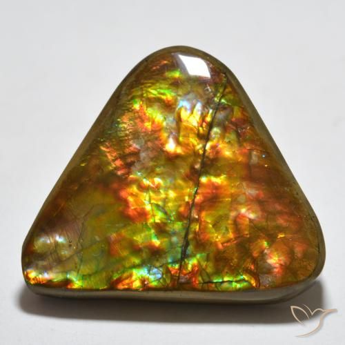 16.58ct Naturel Multicolore Ammolite, Trillion, Opaque