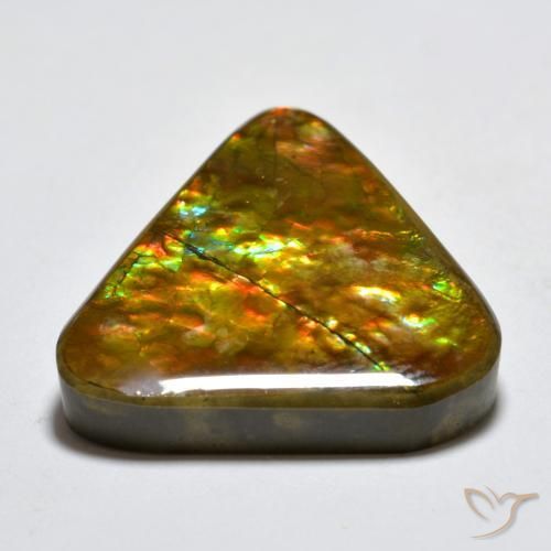 Ammolite Multicolore naturelle Trillion, 16.58 ct, Opaque