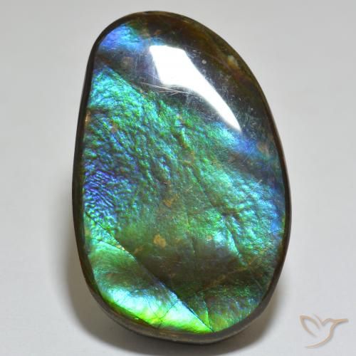 Ammolite Multicolore naturelle Fantaisie, 23.81 ct, Opaque