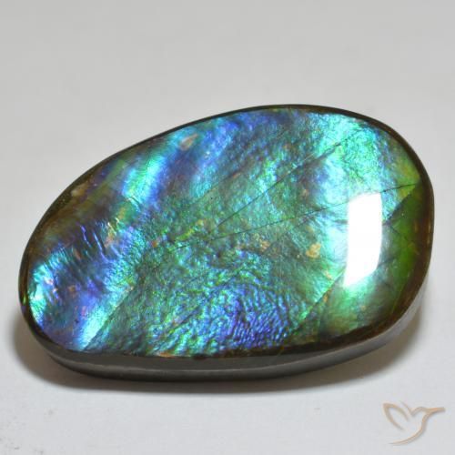 Ammolite Multicolore naturelle Fantaisie, 23.81 ct, Opaque