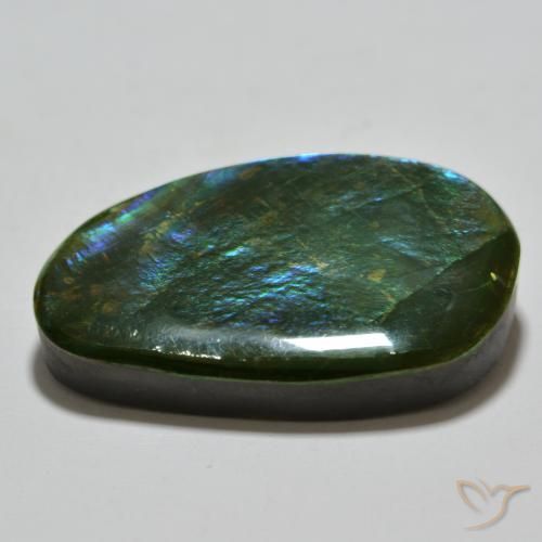 Ammolite Multicolore naturelle Fantaisie, 23.81 ct, Opaque