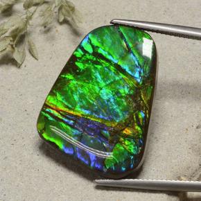Ammolite Multicolore naturelle Forme fantaisie, 23.18 ct, Opaque
