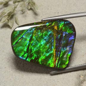 Ammolite Multicolore naturelle Forme fantaisie, 23.18 ct, Opaque