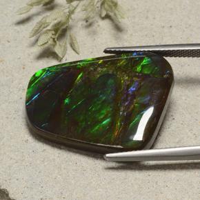 Ammolite Multicolore naturelle Forme fantaisie, 23.18 ct, Opaque