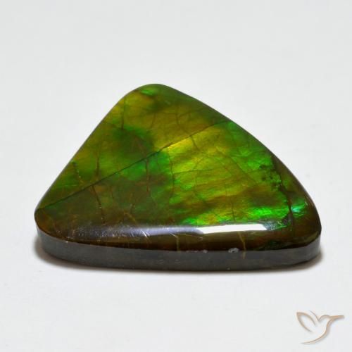 Ammolite Multicolore naturelle Fantaisie, 20.44 ct, Opaque