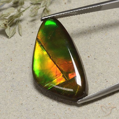 17.24ct Naturel Multicolore Ammolite, Fantaisie, Opaque
