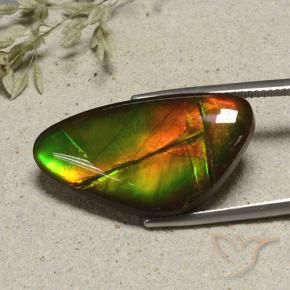 Ammolite Multicolore naturelle Fantaisie, 17.24 ct, Opaque
