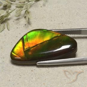 Ammolite Multicolore naturelle Fantaisie, 17.24 ct, Opaque