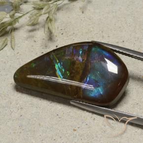 Ammolite Multicolore naturelle Fantaisie, 15.41 ct, Opaque
