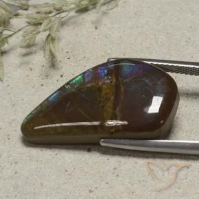 Ammolite Multicolore naturelle Fantaisie, 15.41 ct, Opaque