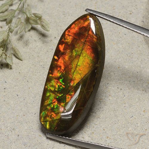 Ammolite Multicolore naturelle Fantaisie, 15.74 ct, Opaque