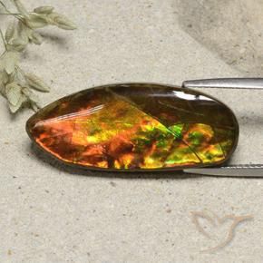 Ammolite Multicolore naturelle Fantaisie, 15.74 ct, Opaque