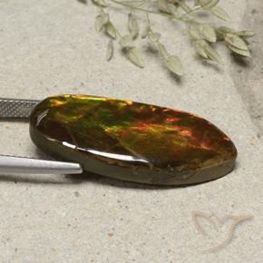 Ammolite Multicolore naturelle Fantaisie, 15.74 ct, Opaque