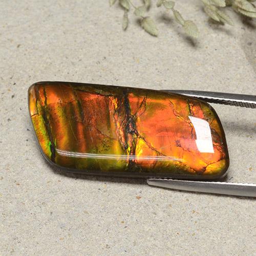 Ammolite Multicolore naturelle Forme fantaisie, 18.82 ct, Opaque