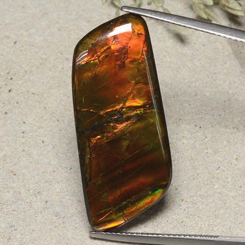 Ammolite Multicolore naturelle Forme fantaisie, 18.82 ct, Opaque