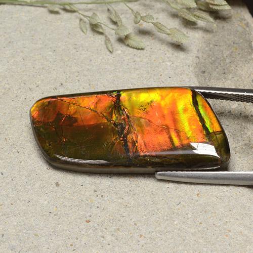 Ammolite Multicolore naturelle Forme fantaisie, 18.82 ct, Opaque