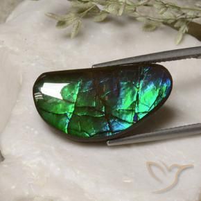 Ammolite Multicolore naturelle Fantaisie, 13.17 ct, Opaque