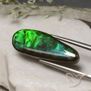 Ammolite Multicolore naturelle Fantaisie, 11.06 ct, Opaque