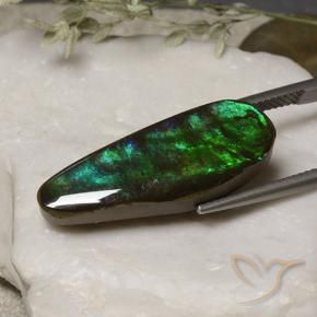Ammolite Multicolore naturelle Fantaisie, 11.06 ct, Opaque