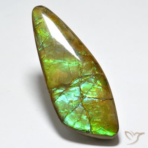 Ammolite Multicolore naturelle Fantaisie, 24.80 ct, Opaque