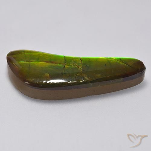 Ammolite Multicolore naturelle Fantaisie, 13.02 ct, Opaque