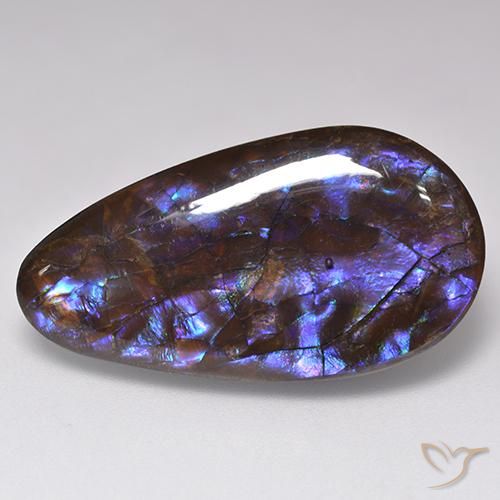 Ammolite multicolore naturelle en forme de poire, 20,69 ct, opaque