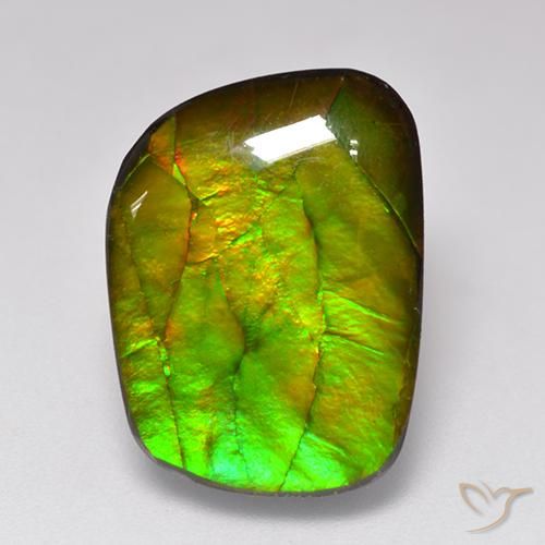 Ammolite Multicolore naturelle Fantaisie, 11.49 ct, Opaque