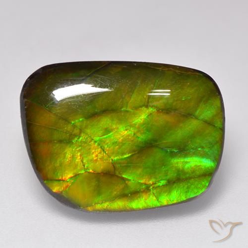 Ammolite Multicolore naturelle Fantaisie, 11.49 ct, Opaque