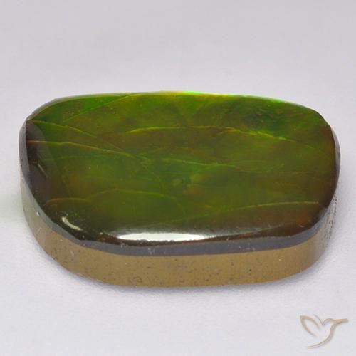 Ammolite Multicolore naturelle Fantaisie, 11.49 ct, Opaque