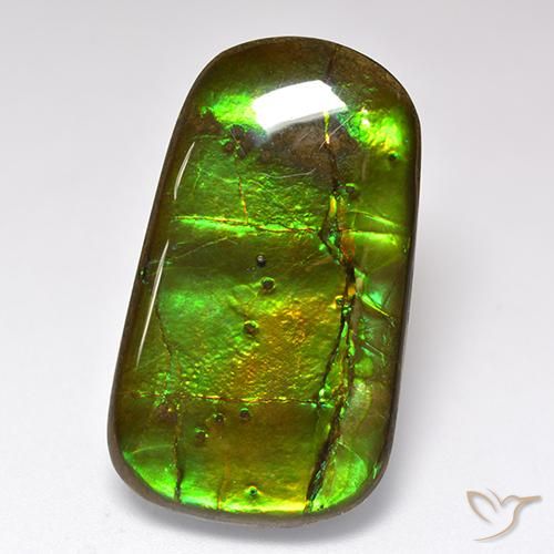 24.17ct Naturel Multicolore Ammolite, Fantaisie, Opaque