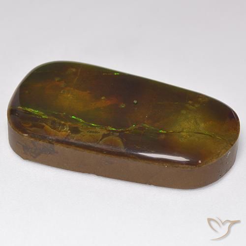 Ammolite Multicolore naturelle Fantaisie, 24.17 ct, Opaque
