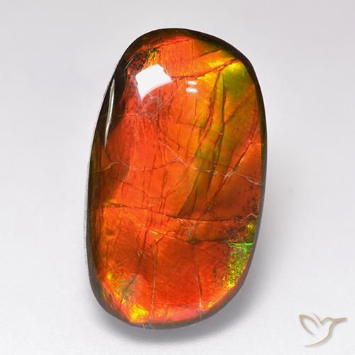 Ammolite Multicolore naturelle Fantaisie, 11.88 ct, Opaque