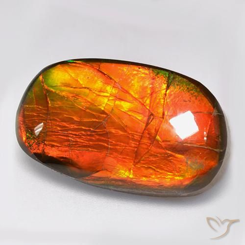 Ammolite Multicolore naturelle Fantaisie, 11.88 ct, Opaque