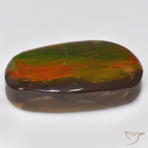 Ammolite Multicolore naturelle Fantaisie, 11.88 ct, Opaque