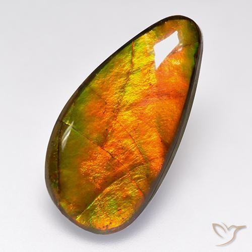 Ammolite Multicolore naturelle Fantaisie, 10.05 ct, Opaque