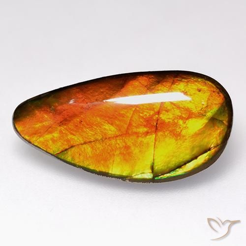 Ammolite Multicolore naturelle Fantaisie, 10.05 ct, Opaque