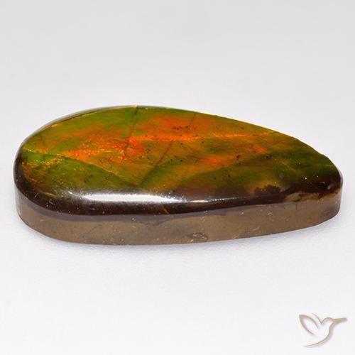 Ammolite Multicolore naturelle Fantaisie, 10.05 ct, Opaque