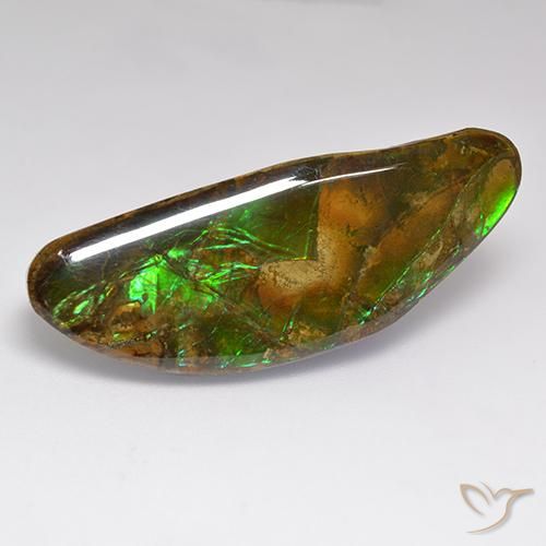 Ammolite Multicolore naturelle Fantaisie, 22.02 ct, Opaque