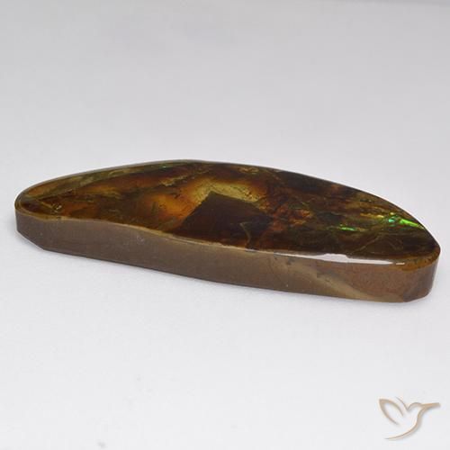 Ammolite Multicolore naturelle Fantaisie, 22.02 ct, Opaque