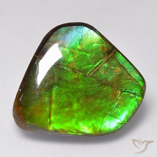 Ammolite Multicolore naturelle Fantaisie, 9.81 ct, Opaque