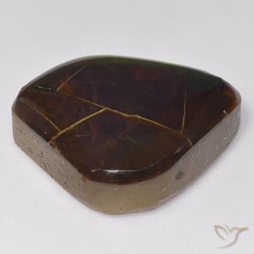 Ammolite Multicolore naturelle Fantaisie, 9.81 ct, Opaque