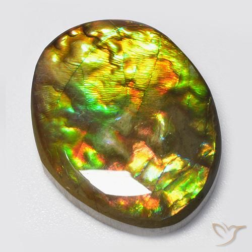 Ammolite Multicolore naturelle Fantaisie, 14.70 ct, Opaque