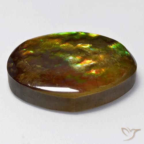 Ammolite Multicolore naturelle Fantaisie, 14.70 ct, Opaque