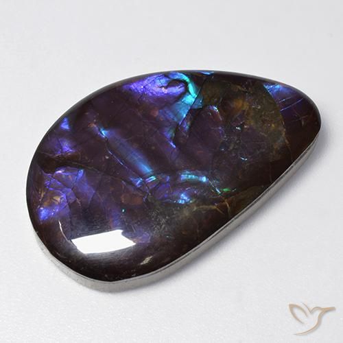Ammolite Multicolore naturelle Fantaisie, 19.21 ct, Opaque